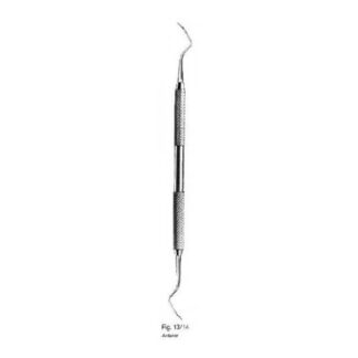 Anterior