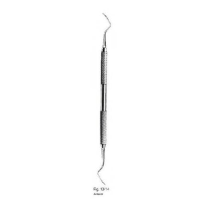 Anterior
