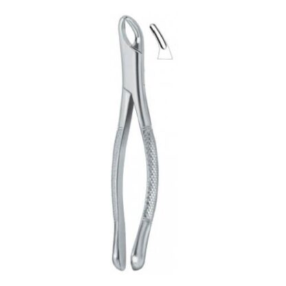 Cryer Bicuspids , Incisors and Roots 150