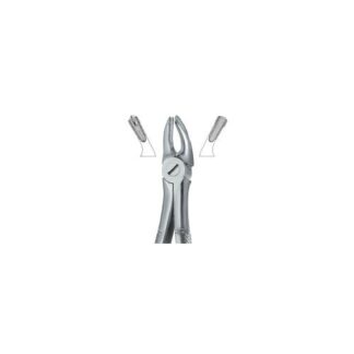 Molars , Right 39R