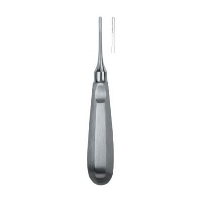 Apical 1