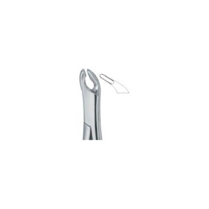 Cryer Bicuspids , Incisors and Roots 151A